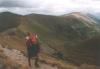 nizketatry104